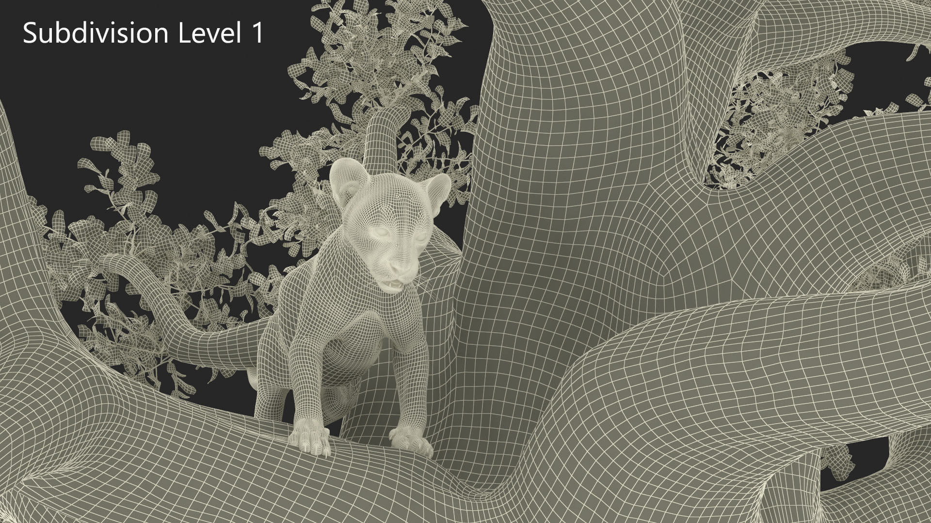 Puma Cub on Ancient Twisted Tree 3D