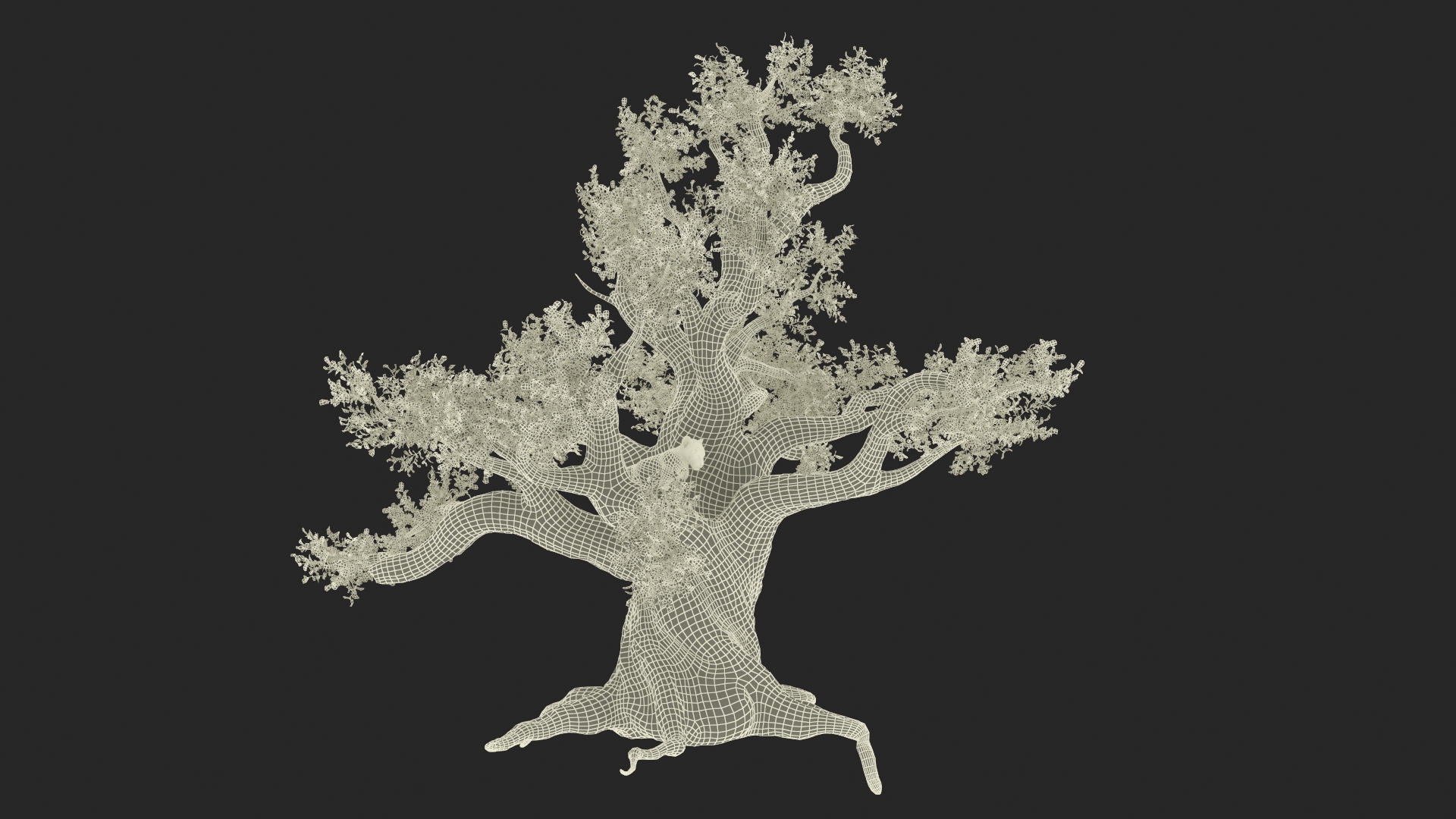 Puma Cub on Ancient Twisted Tree 3D