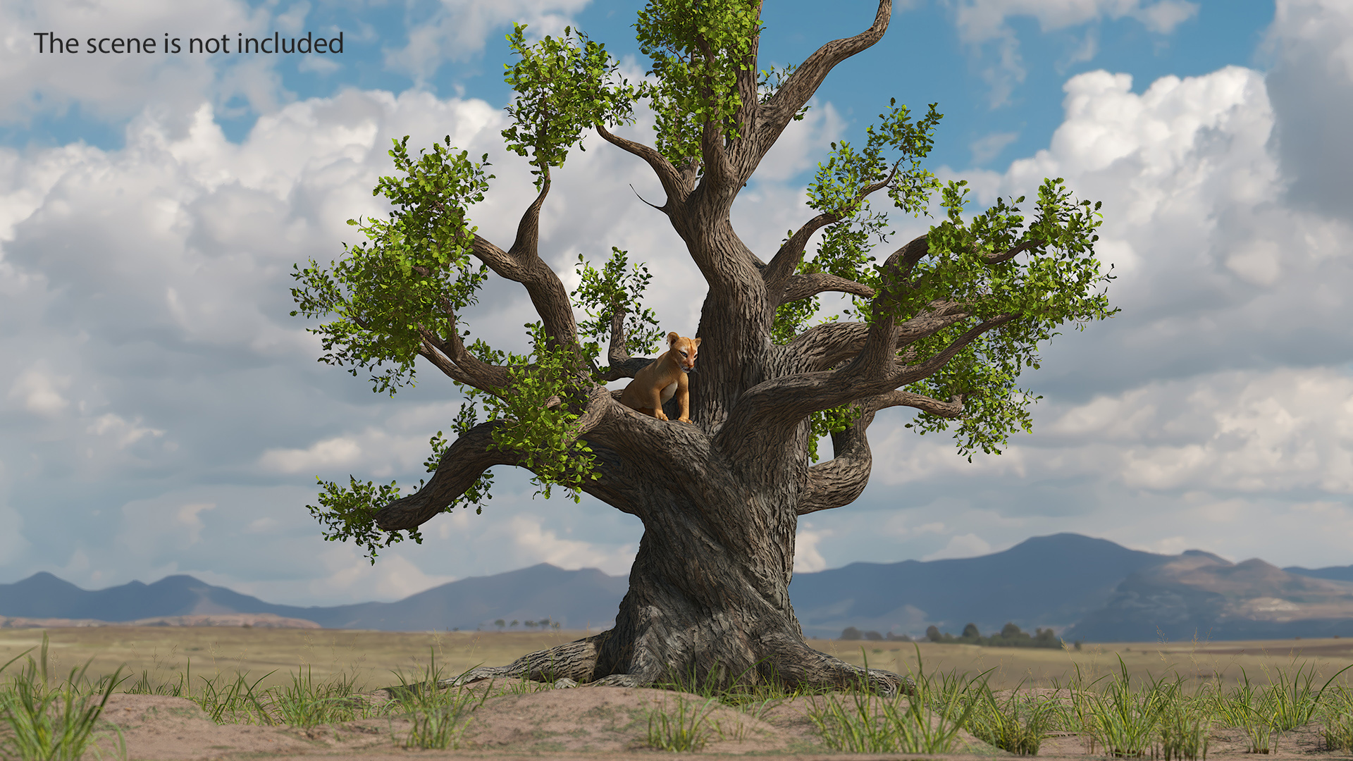 Puma Cub on Ancient Twisted Tree 3D