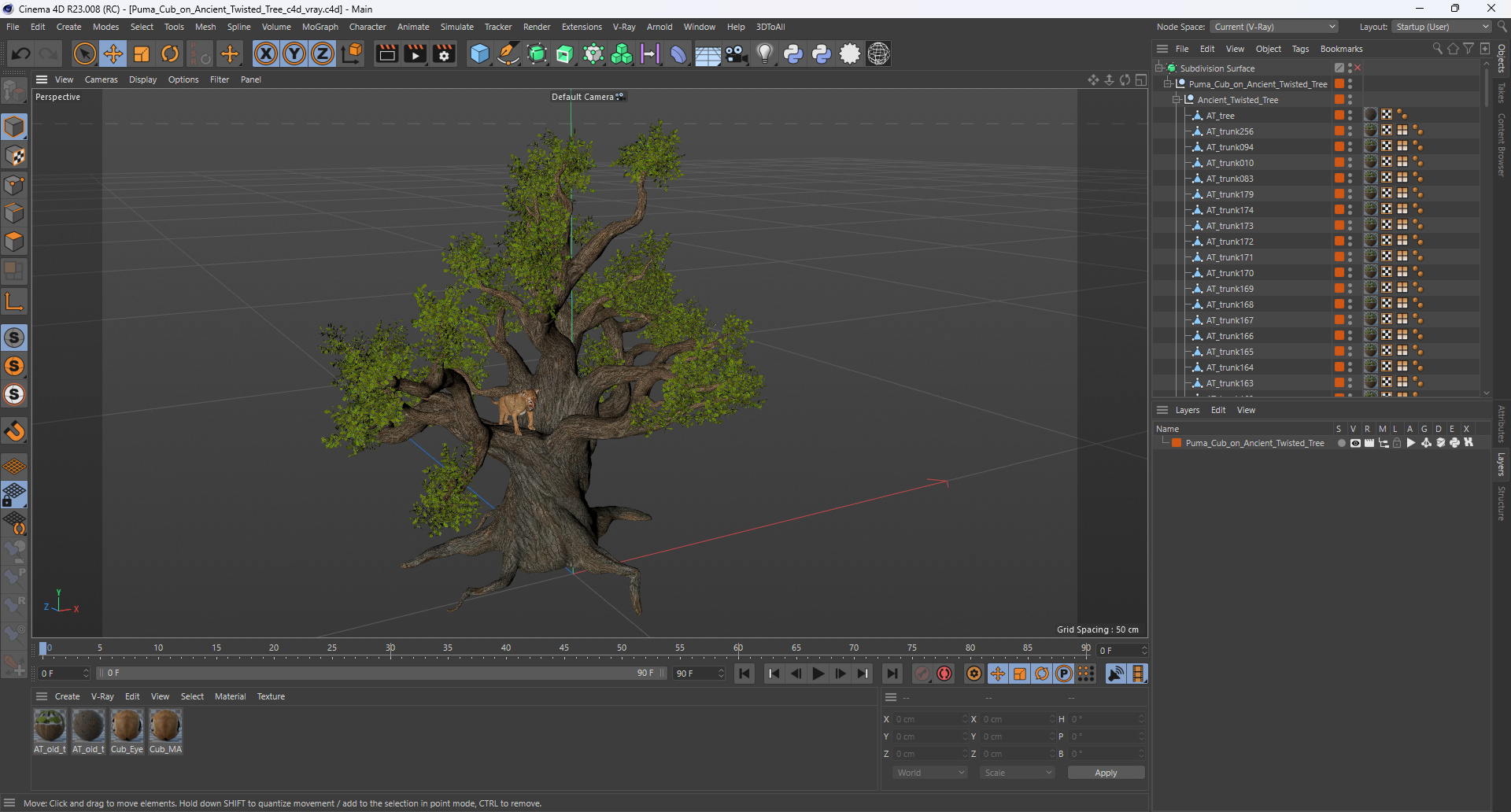 Puma Cub on Ancient Twisted Tree 3D