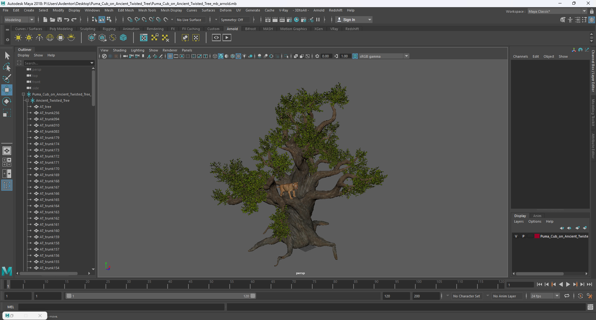 Puma Cub on Ancient Twisted Tree 3D