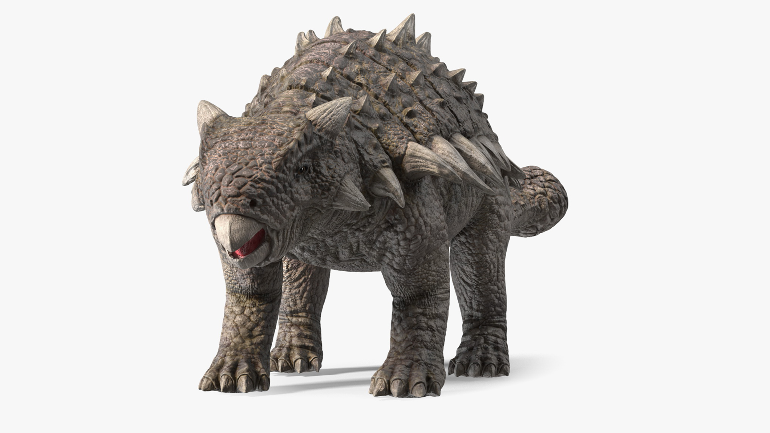 Ankylosaurus from Desert Habitats Rigged for Cinema 4D 3D model