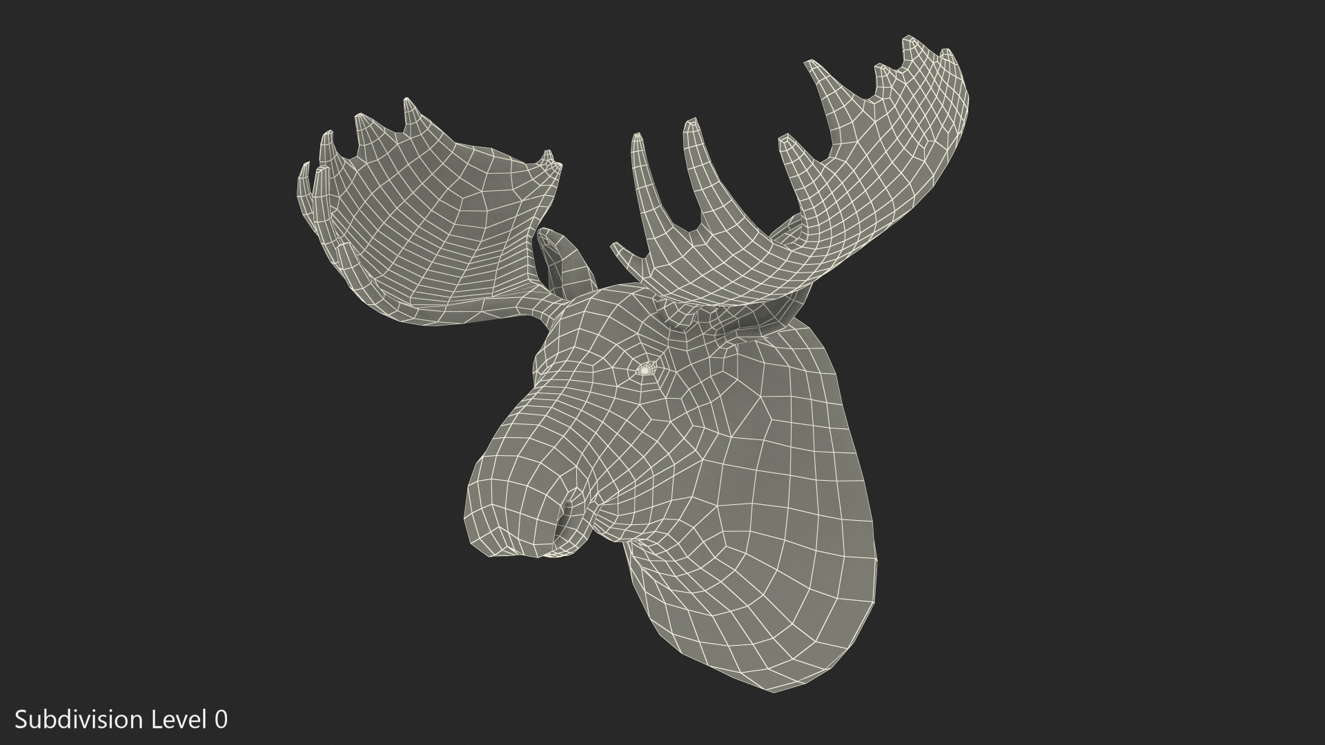 Moose Head Trophy 3D