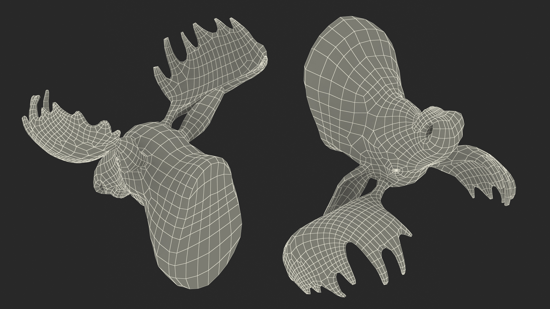 Moose Head Trophy 3D