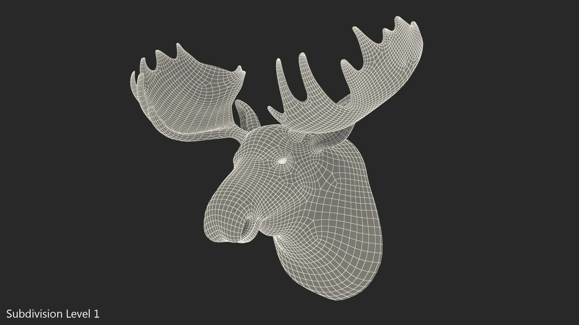 Moose Head Trophy 3D