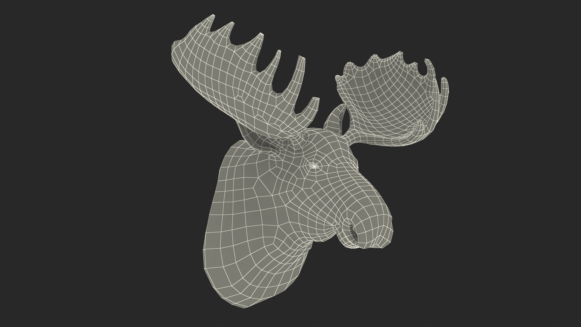 Moose Head Trophy 3D