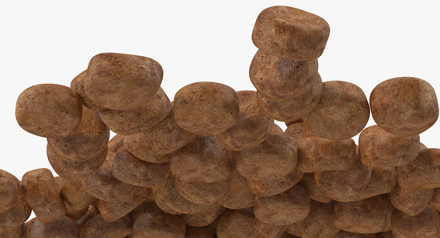 Dry Dog Food 3D