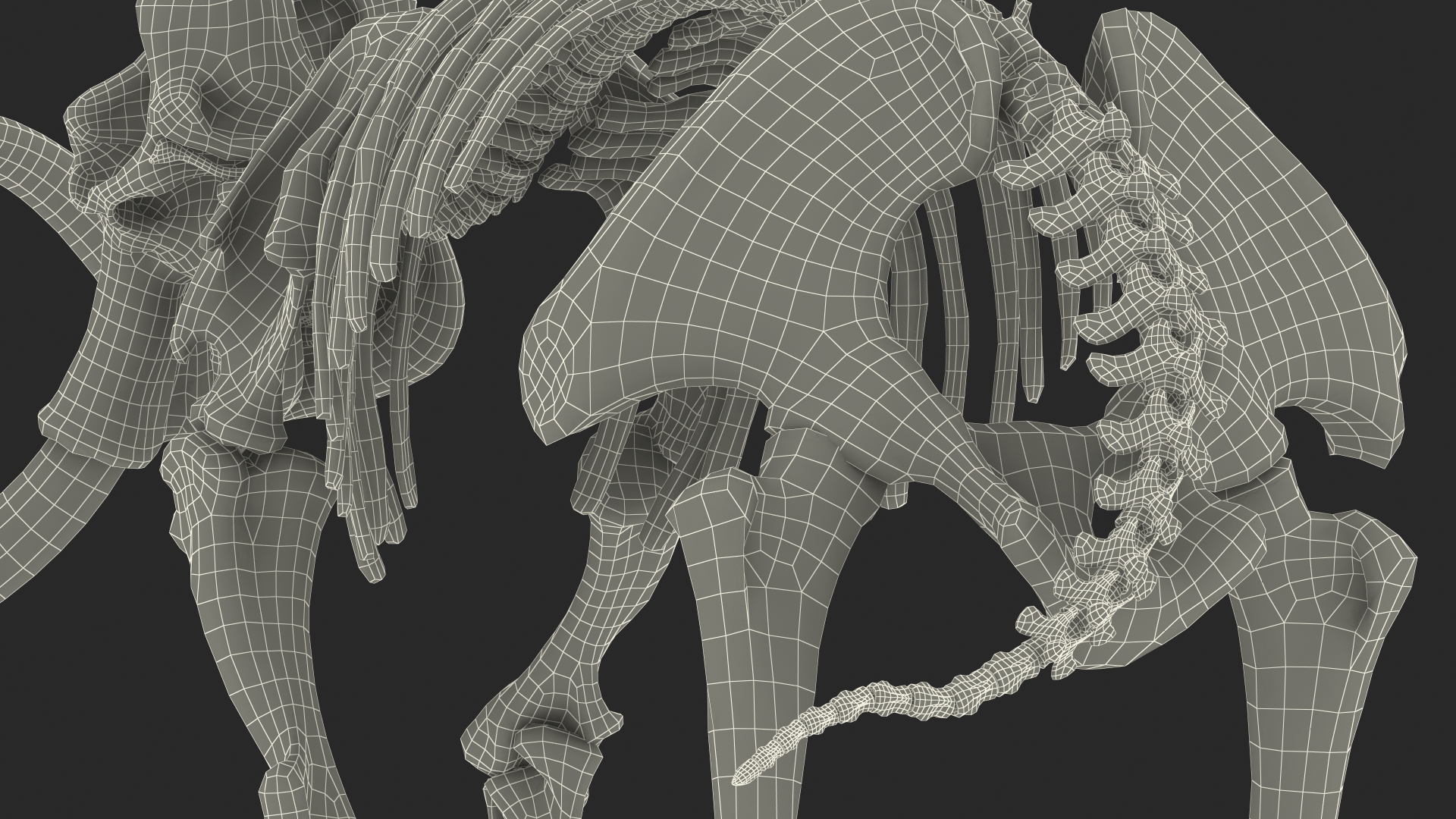 3D Mammoth Skeleton Clean Bones Walking Pose