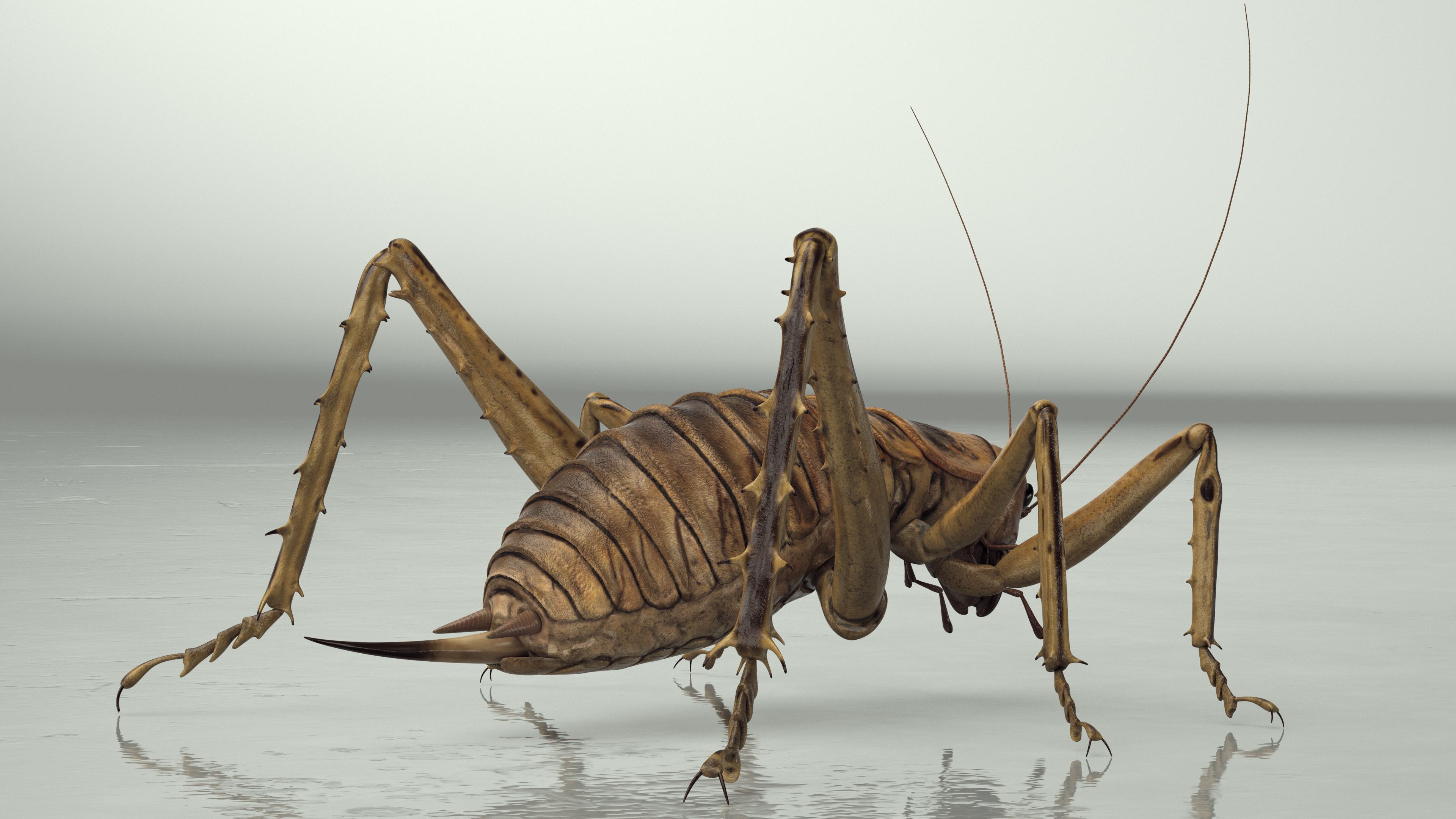 Giant Weta Rigged 3D