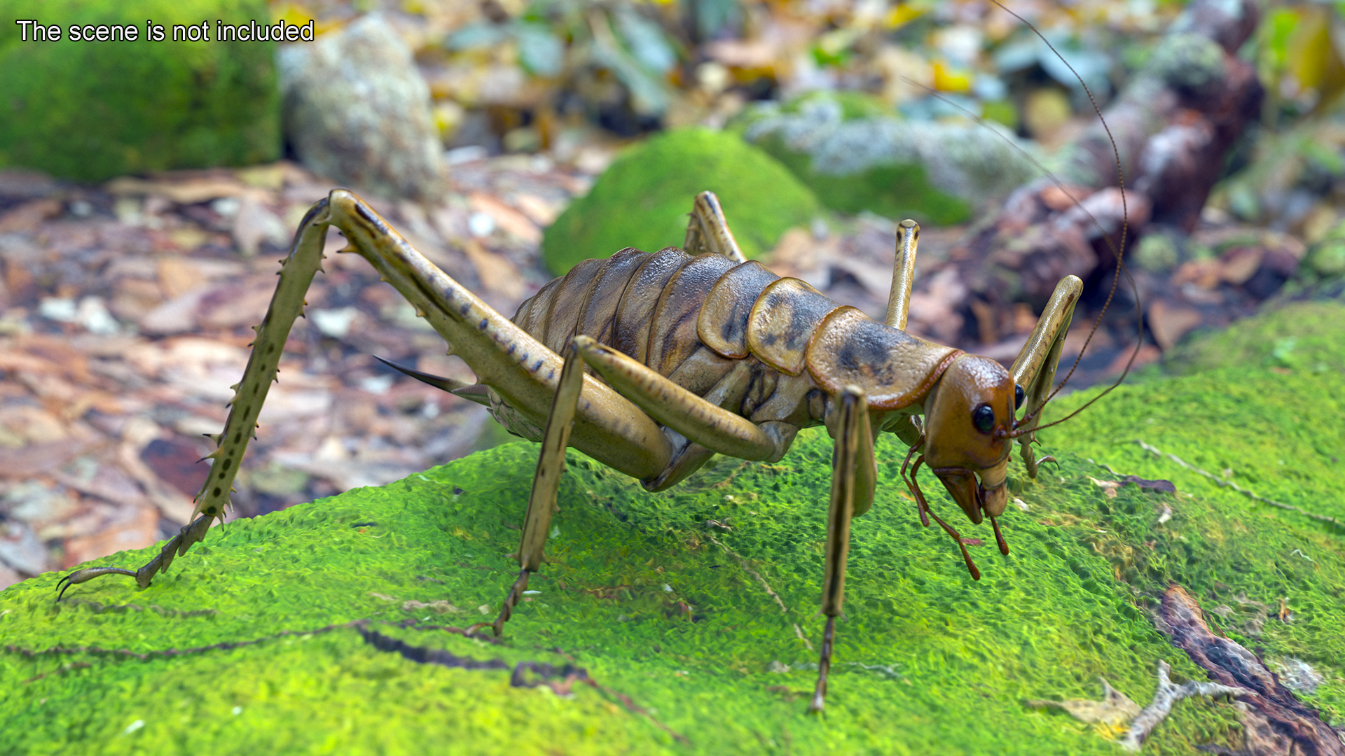 Giant Weta Rigged 3D