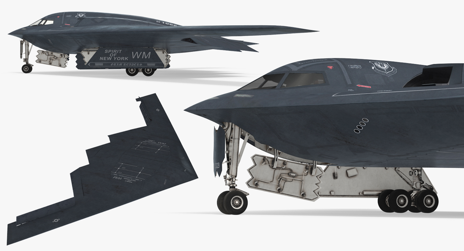 3D model Stealth Bomber B 2 Spirit