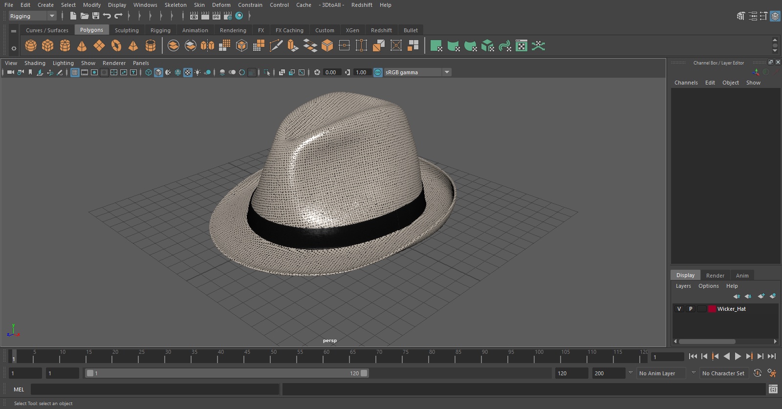 3D model Wicker Hat