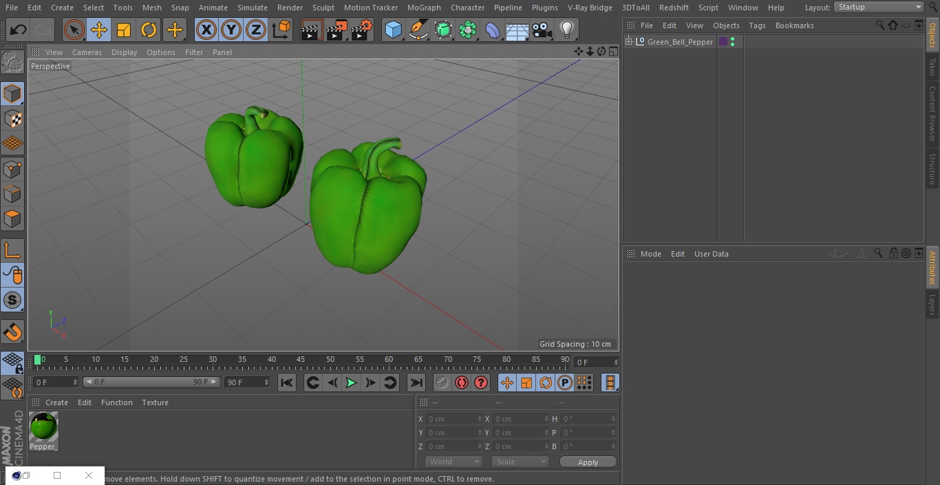 Green Bell Pepper 3D