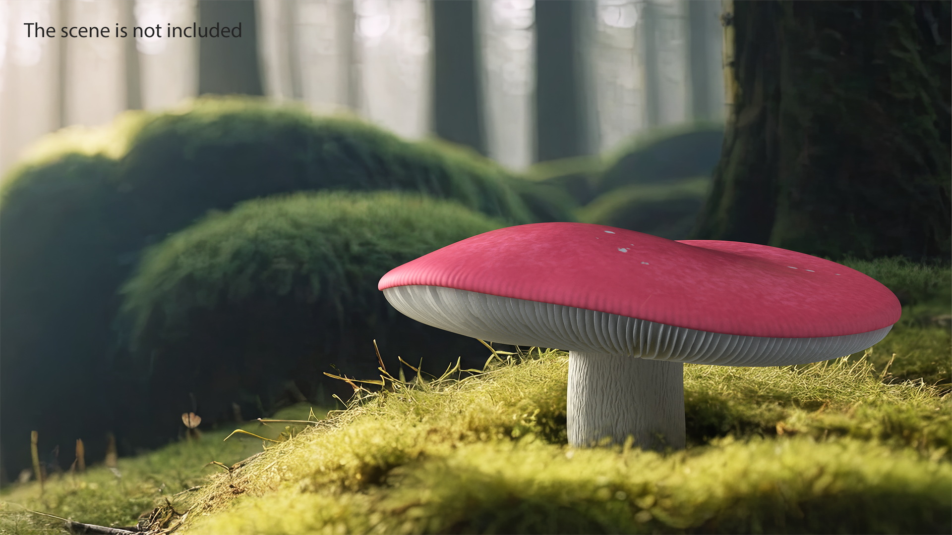 Russula 3D model