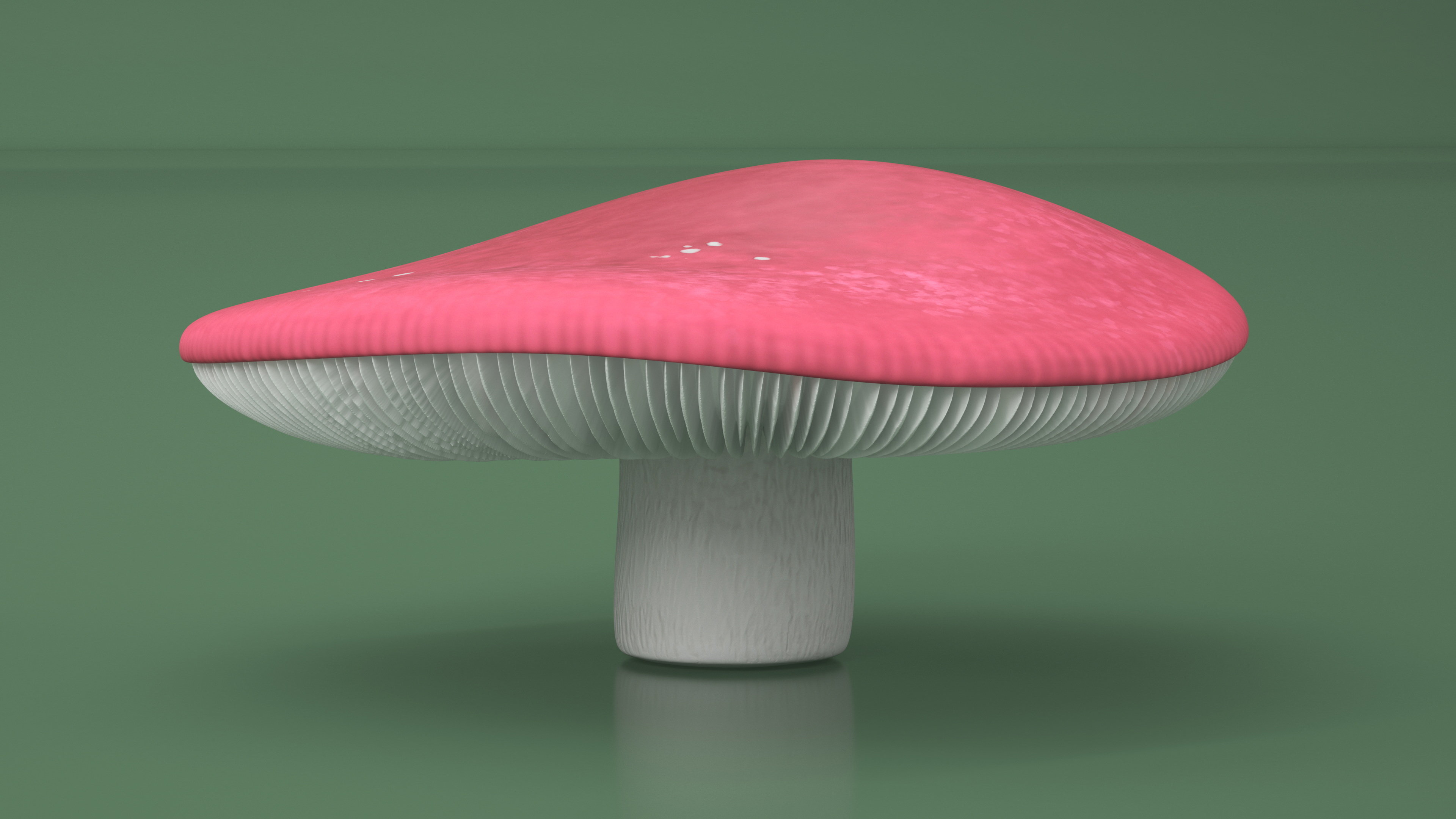 Russula 3D model