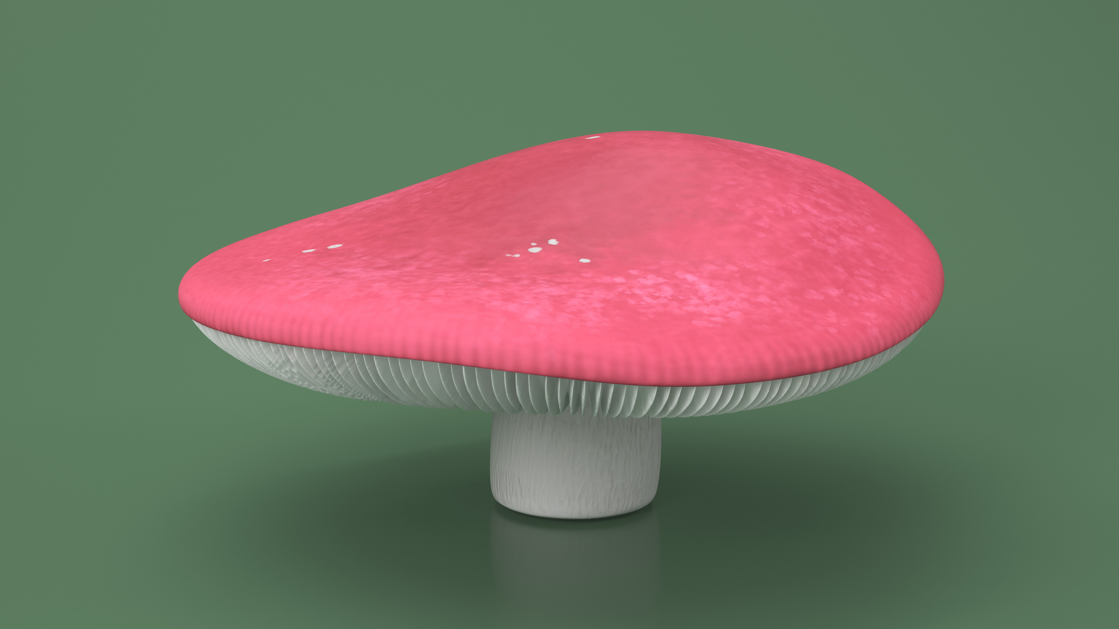 Russula 3D model