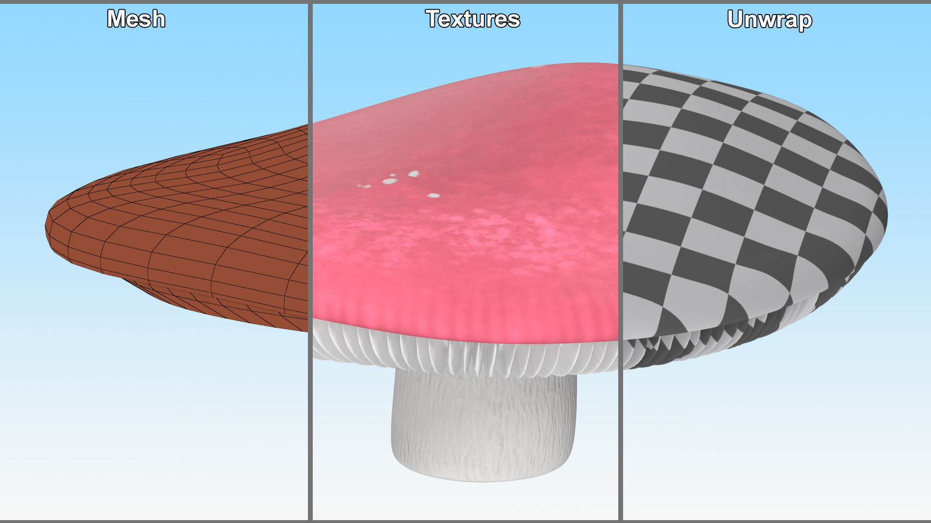 Russula 3D model