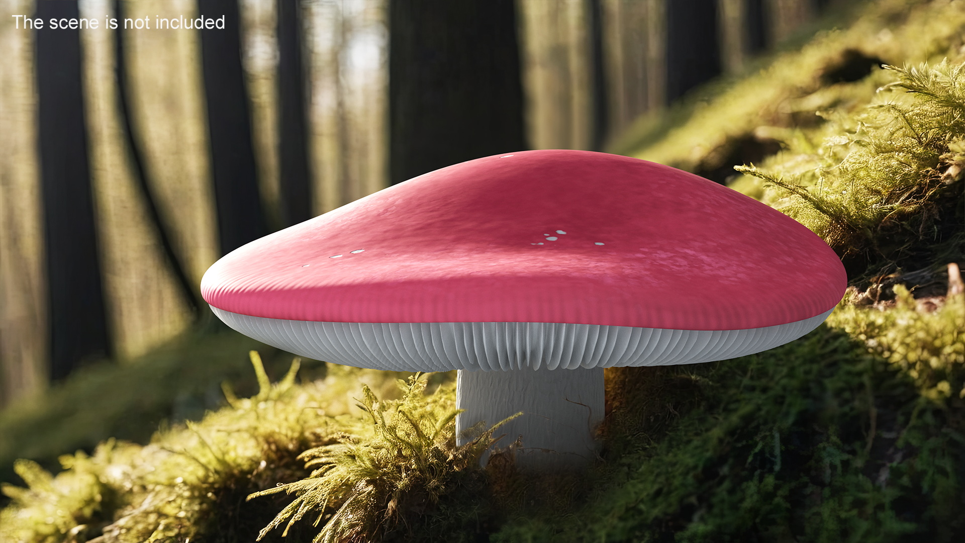 Russula 3D model