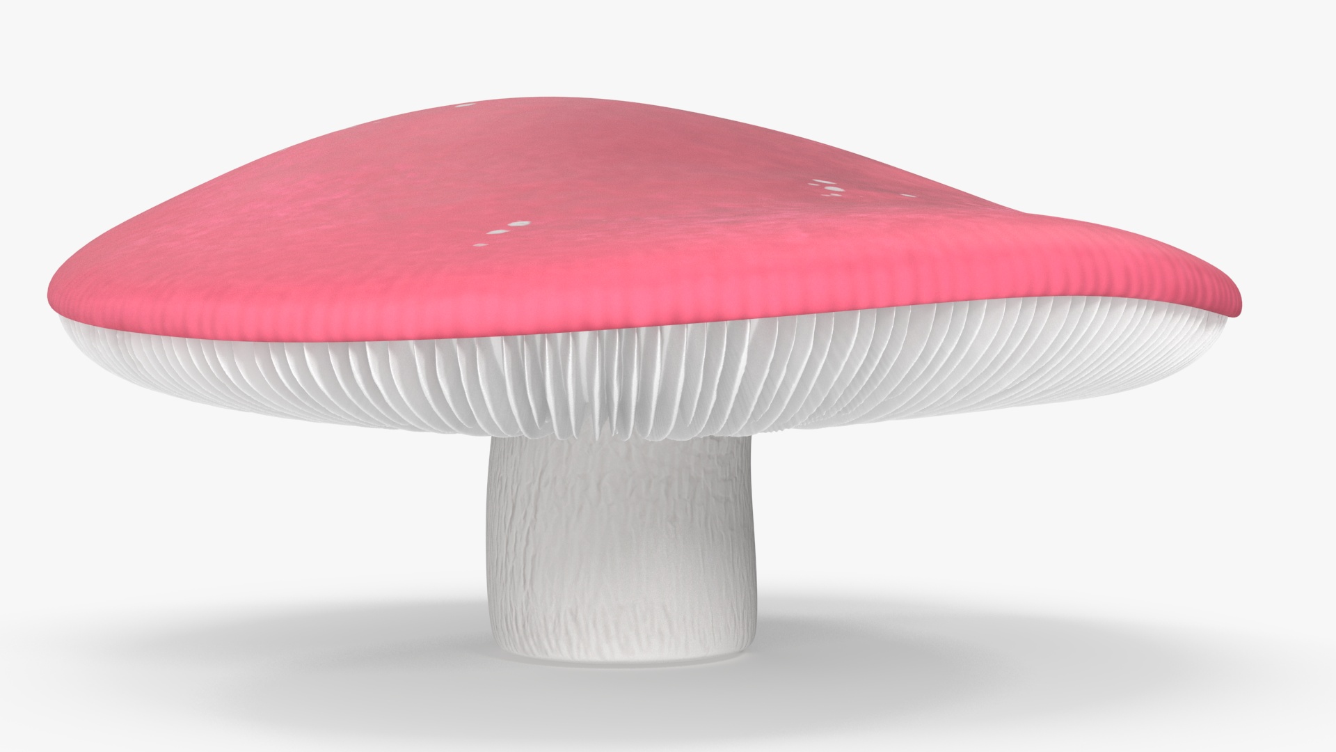 Russula 3D model