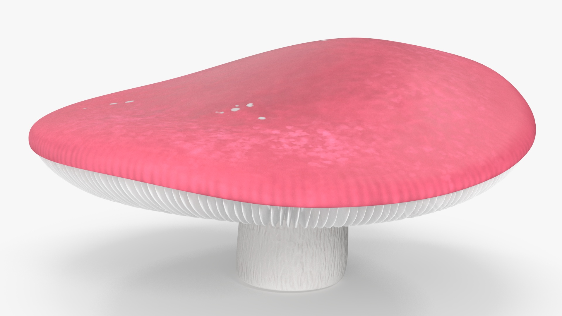 Russula 3D model