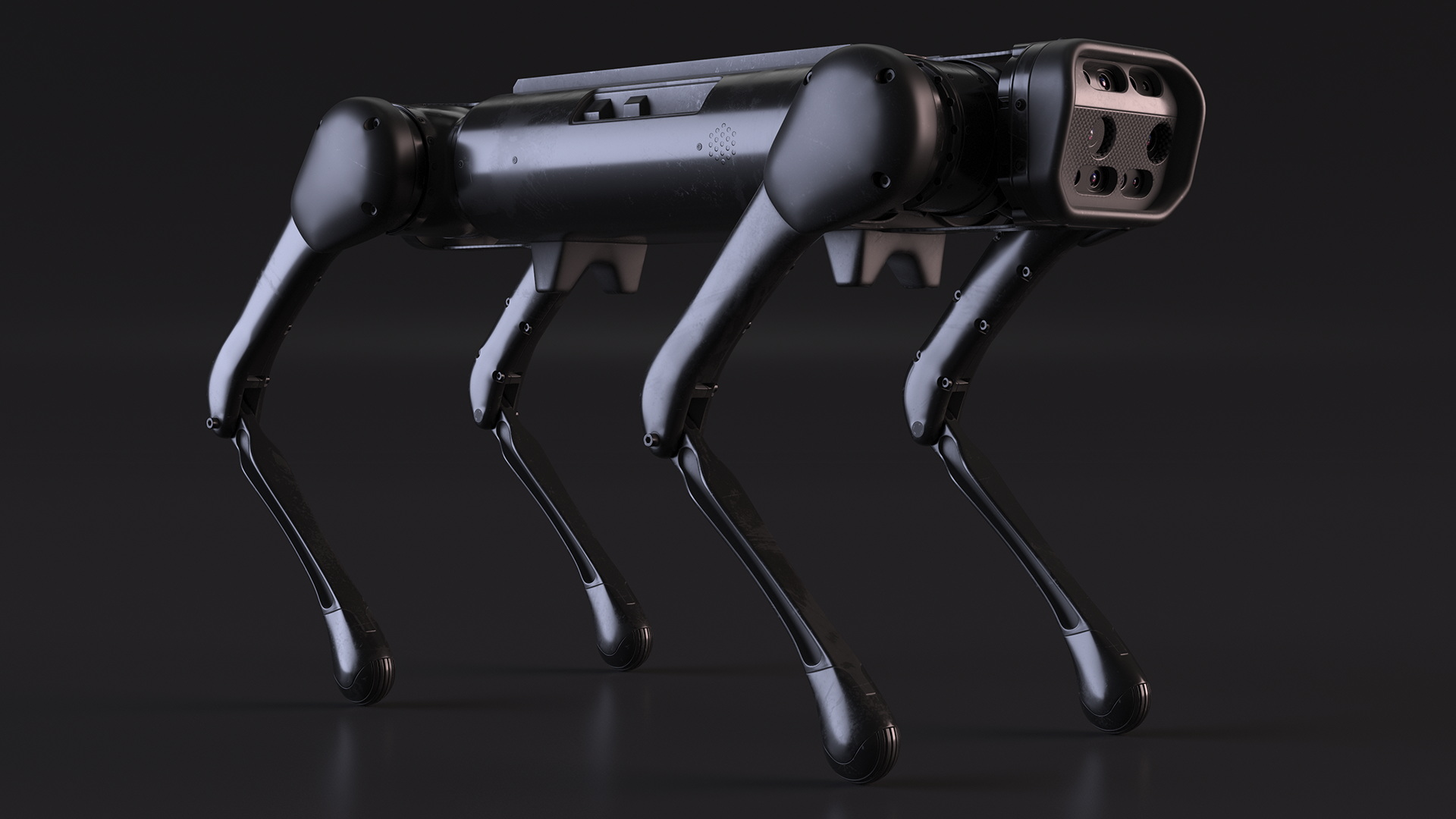 3D model Dirty Robot Dog