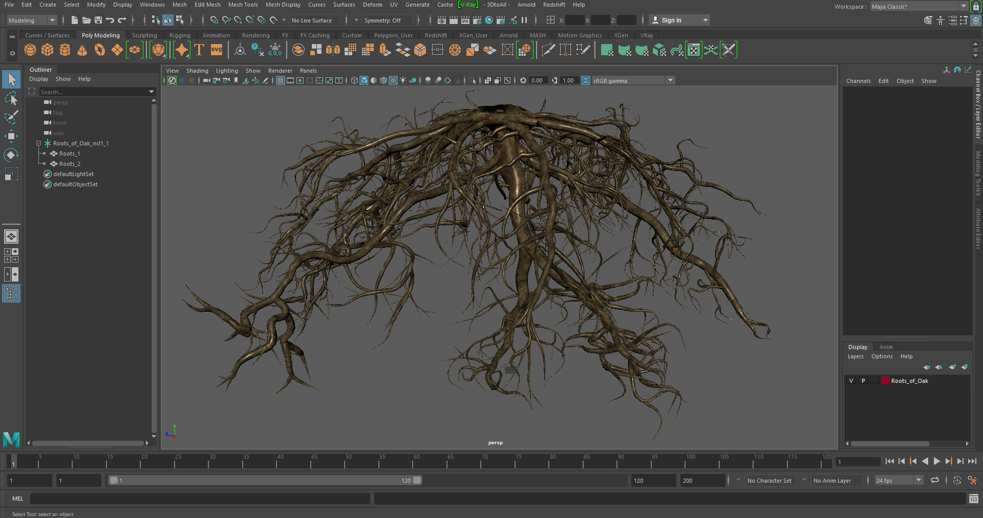 Roots of Oak 3D