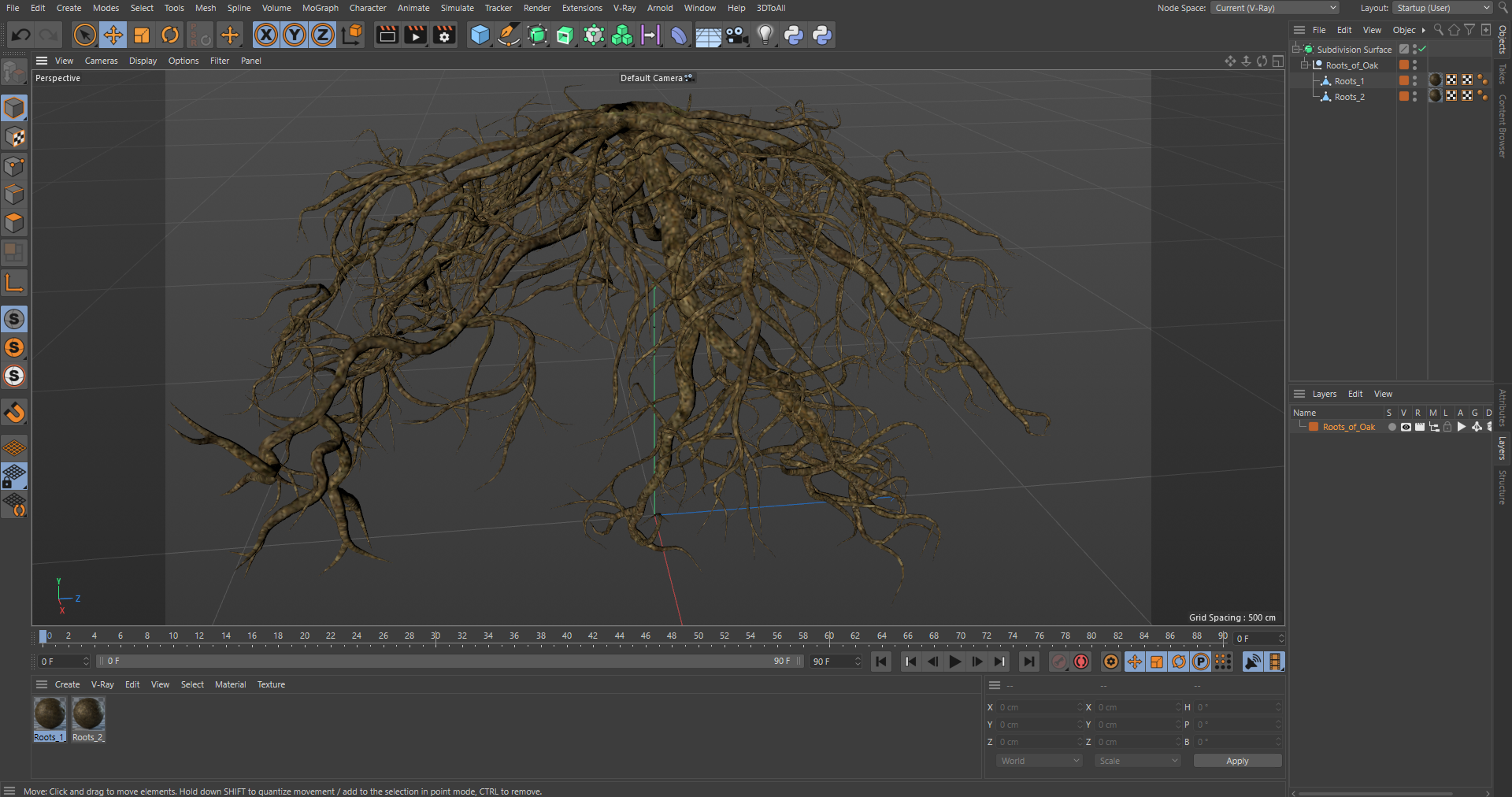 Roots of Oak 3D