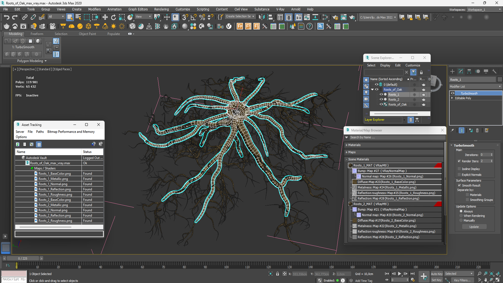 Roots of Oak 3D