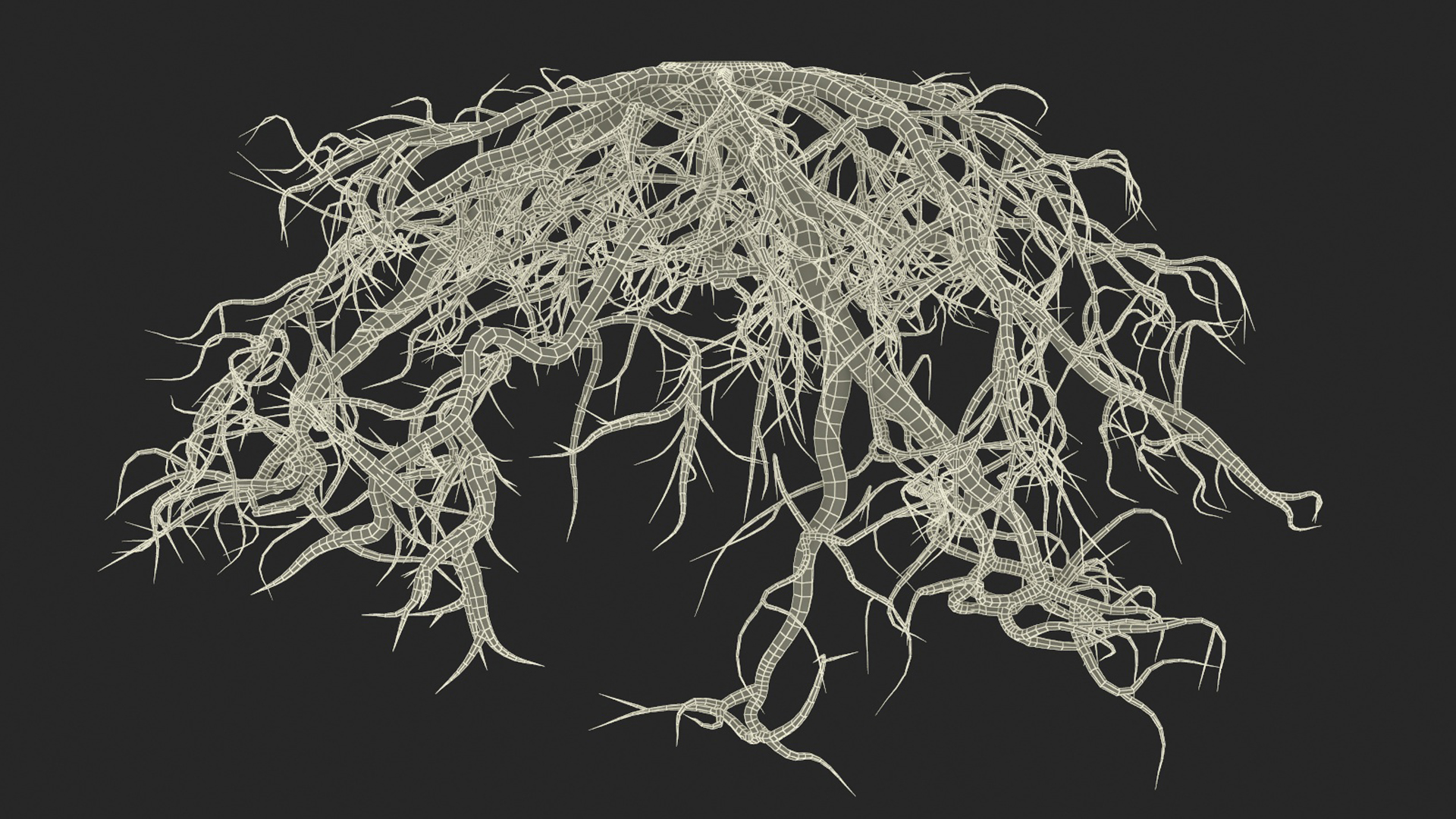 Roots of Oak 3D