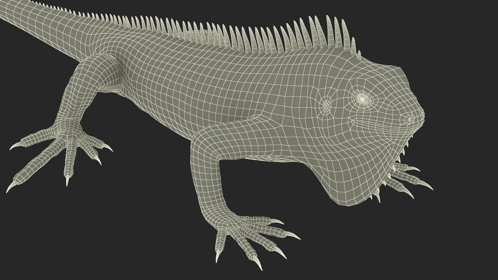 3D Iguana Reptile Creature model