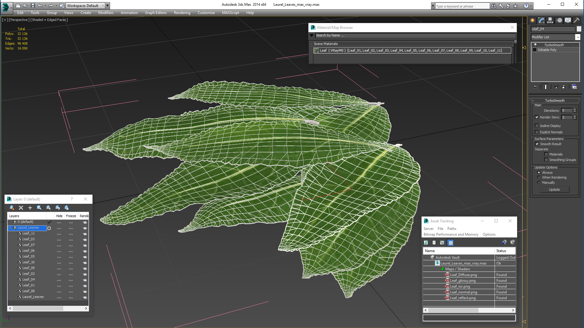 3D Laurel Leaves model