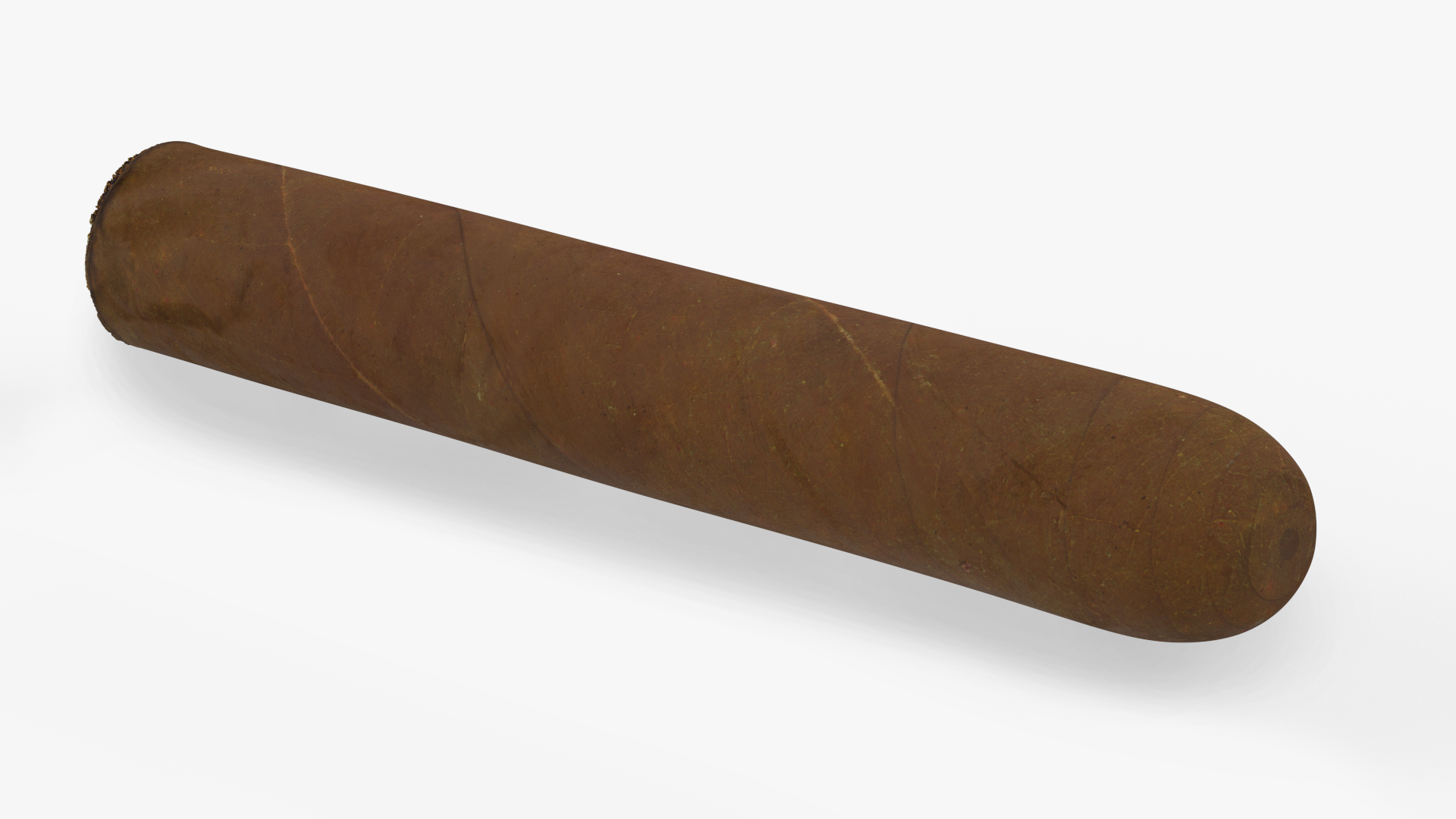 Cuban Cigar Short 3D