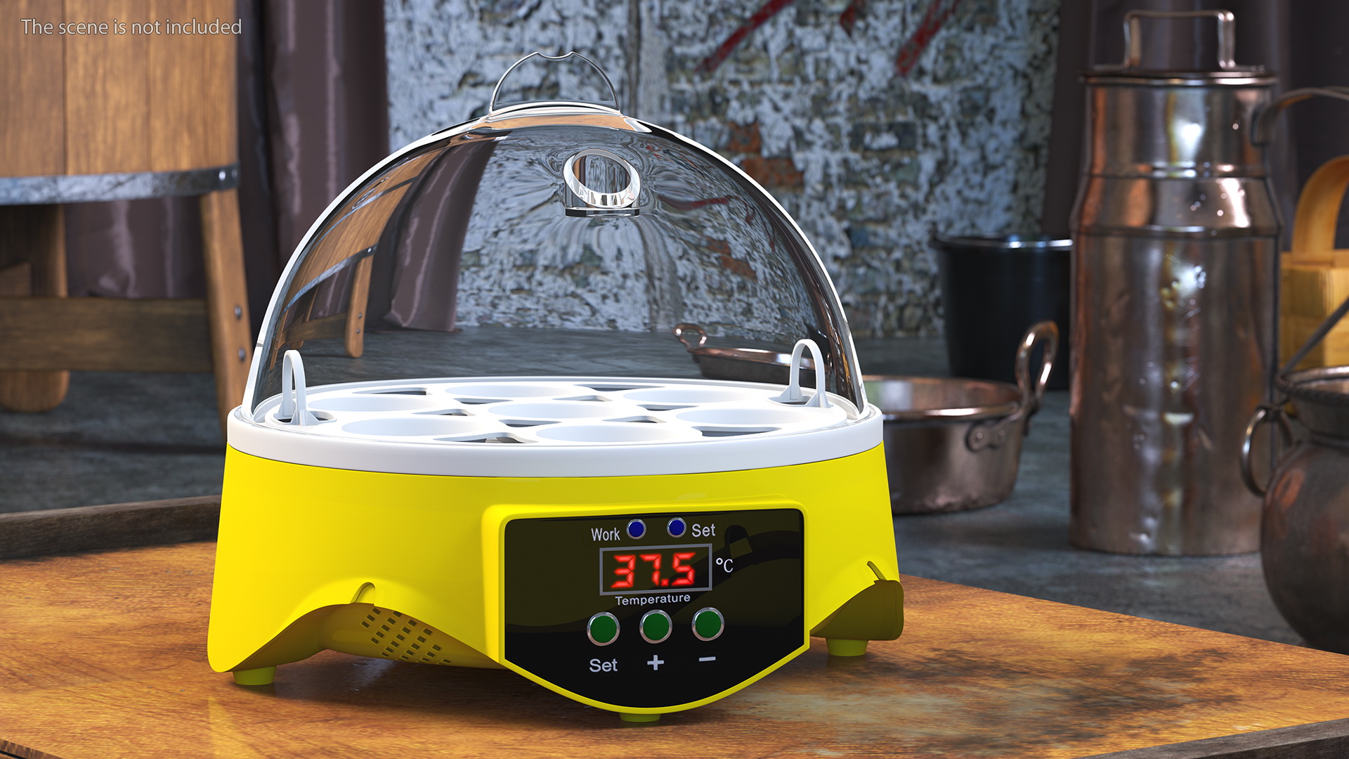 3D Chicken Egg Incubator