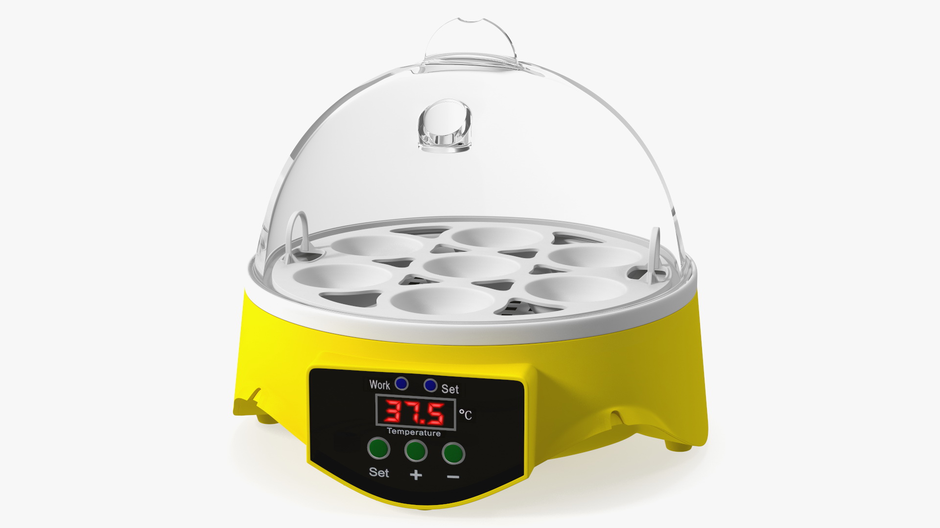 3D Chicken Egg Incubator