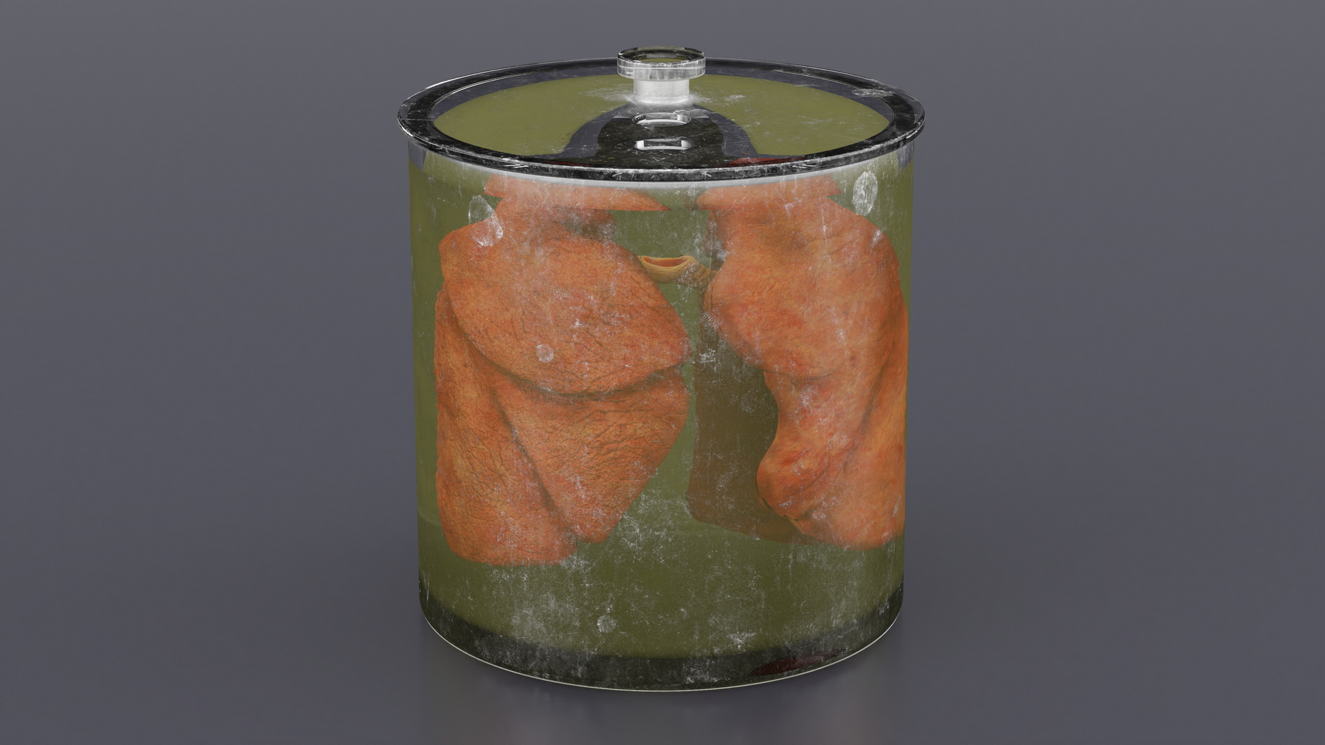 3D Human Lungs in Old Glass Jar model