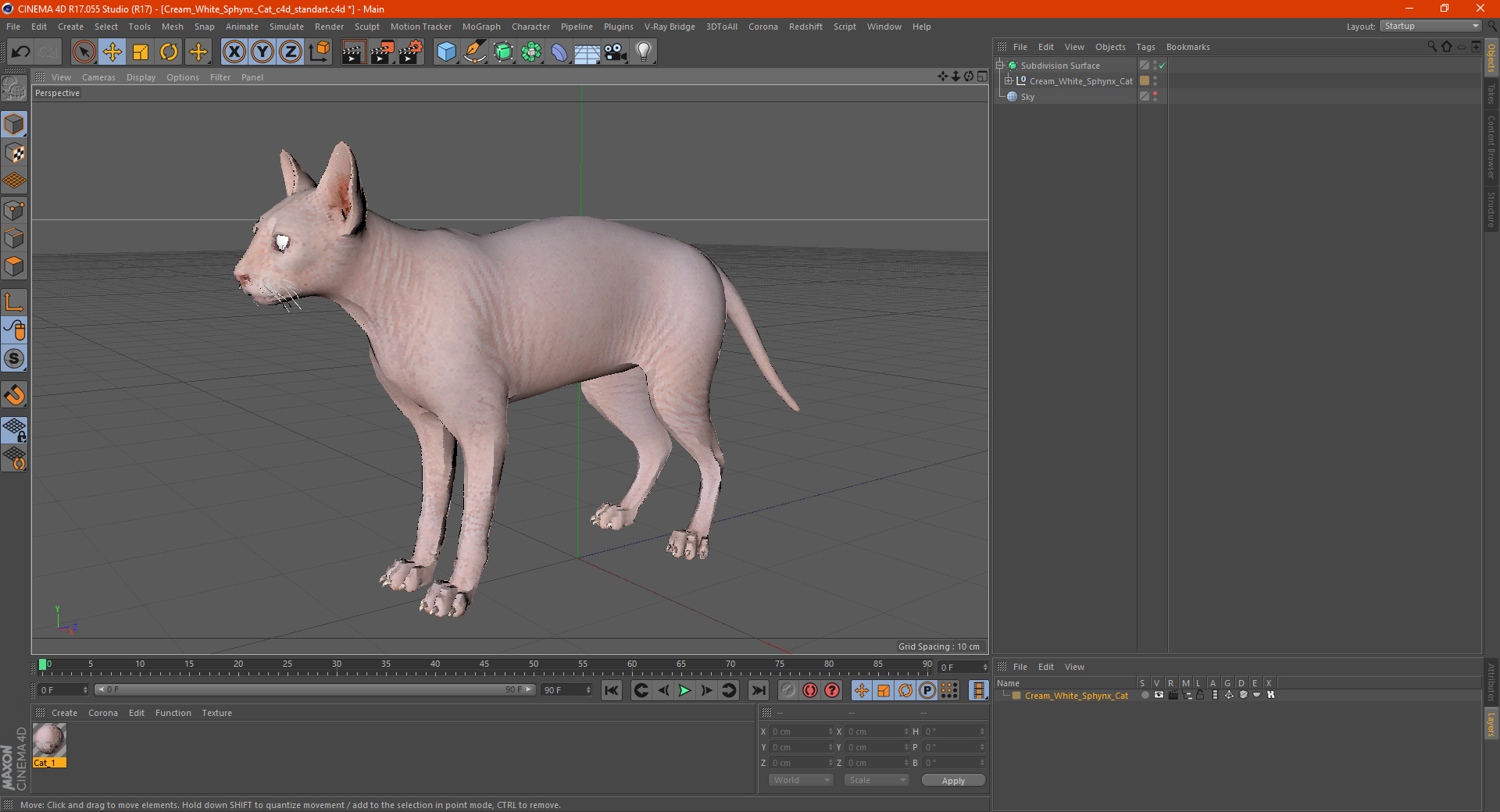 Cream White Sphynx Cat 3D