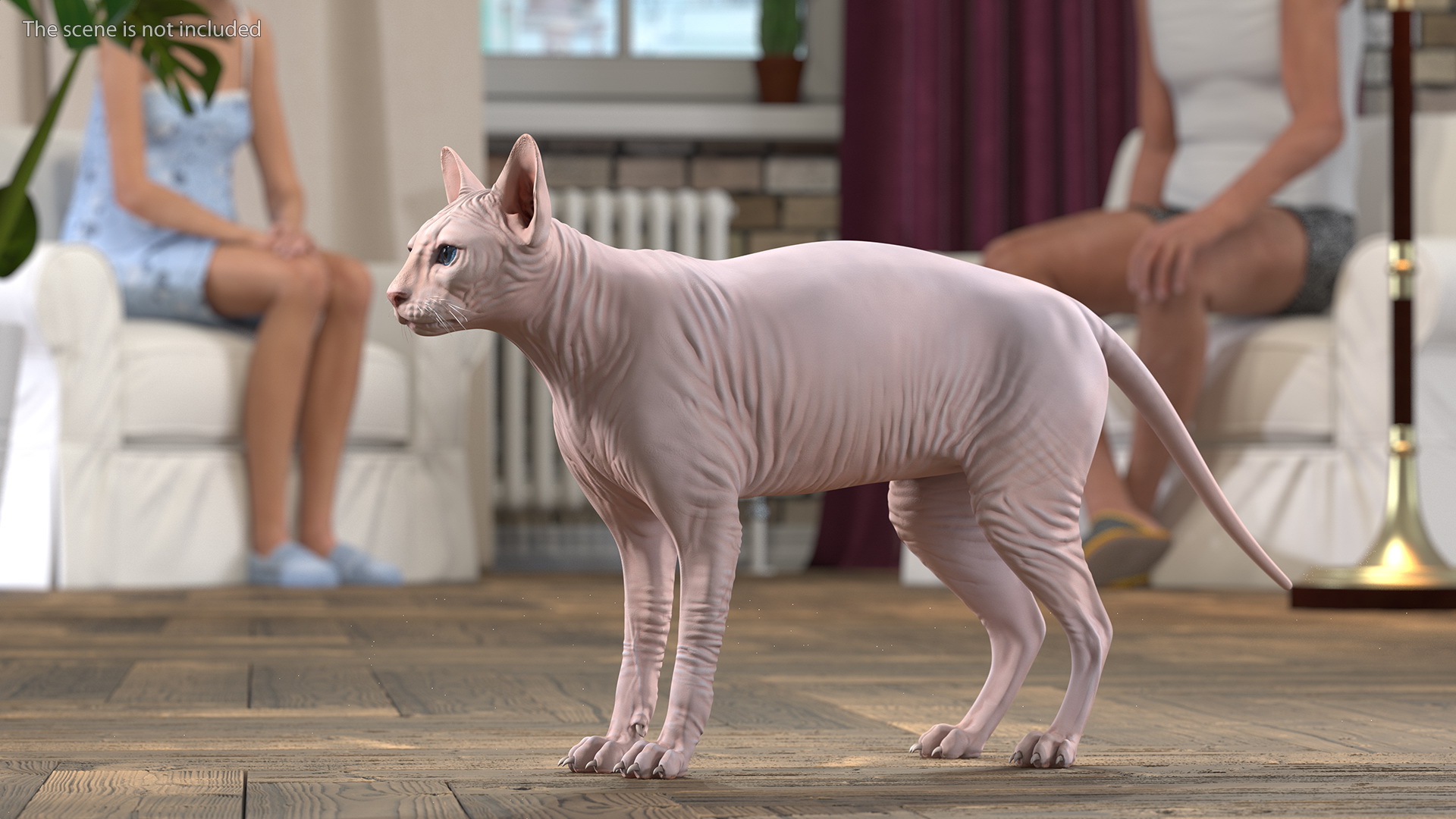 Cream White Sphynx Cat 3D