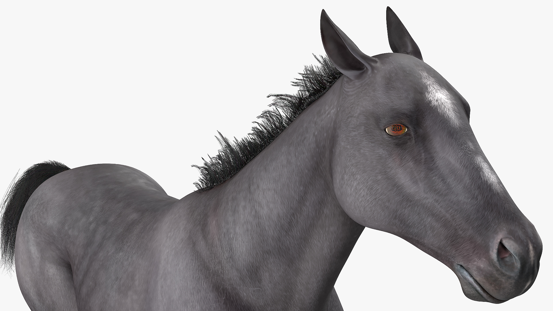 3D Gallop Pose Horse Fur