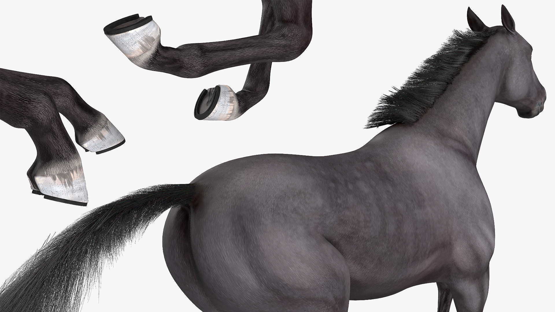 3D Gallop Pose Horse Fur