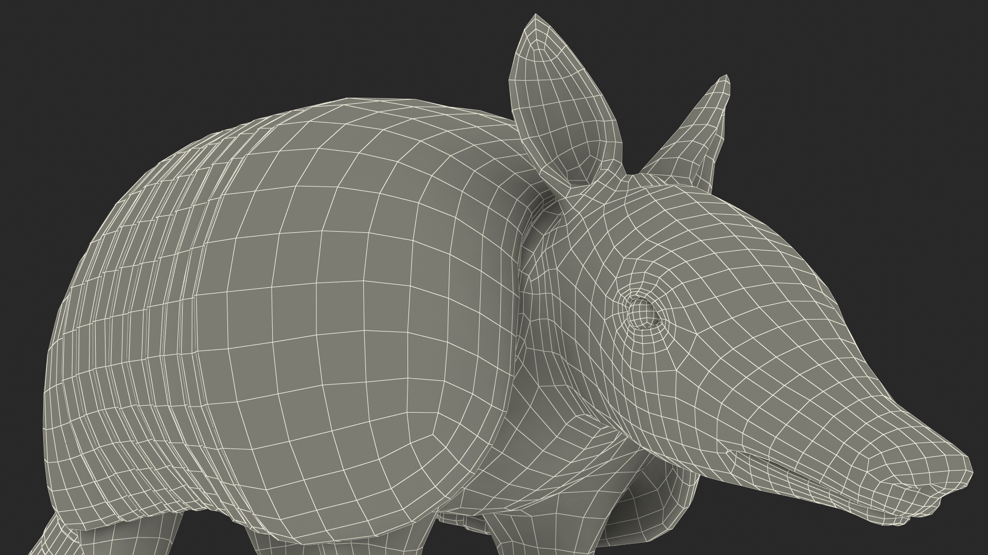 3D Armadillo Black Fur Rigged