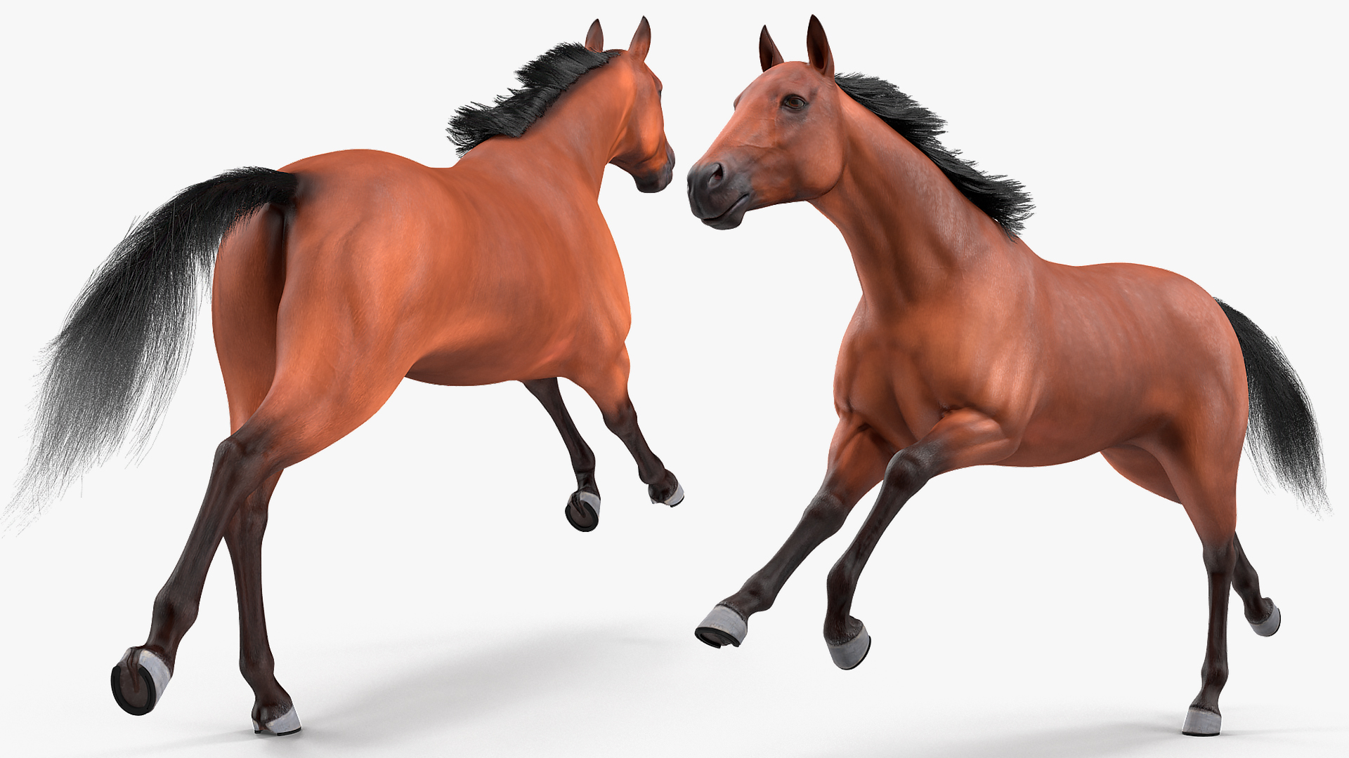 3D Running Bay Horse Fur