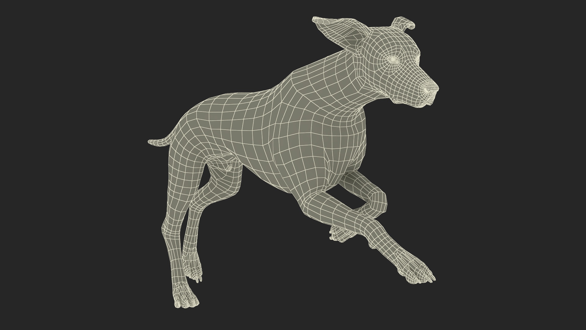 Dalmatian Dog Animated Rigged 3D model