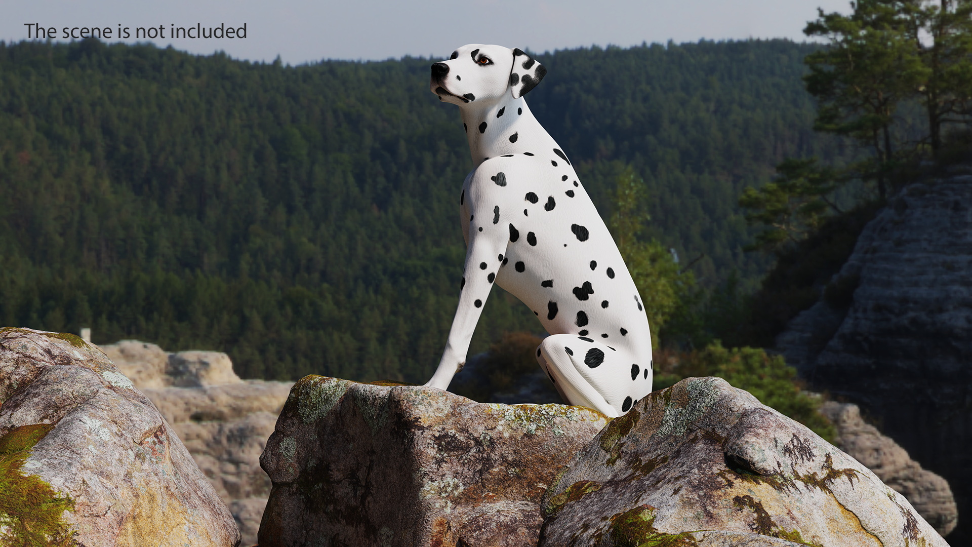 Dalmatian Dog Animated Rigged 3D model