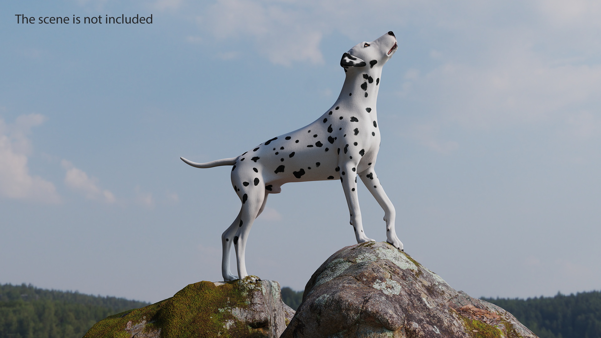 Dalmatian Dog Animated Rigged 3D model