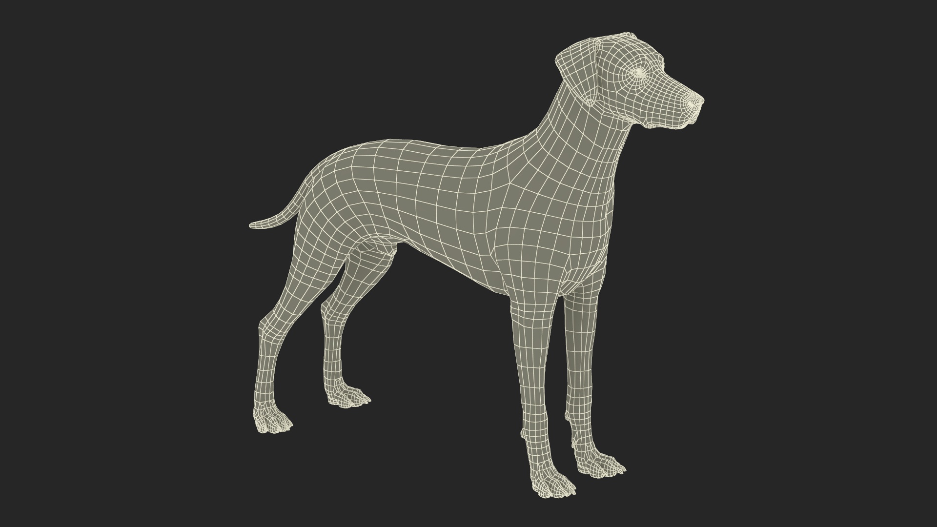 Dalmatian Dog Animated Rigged 3D model