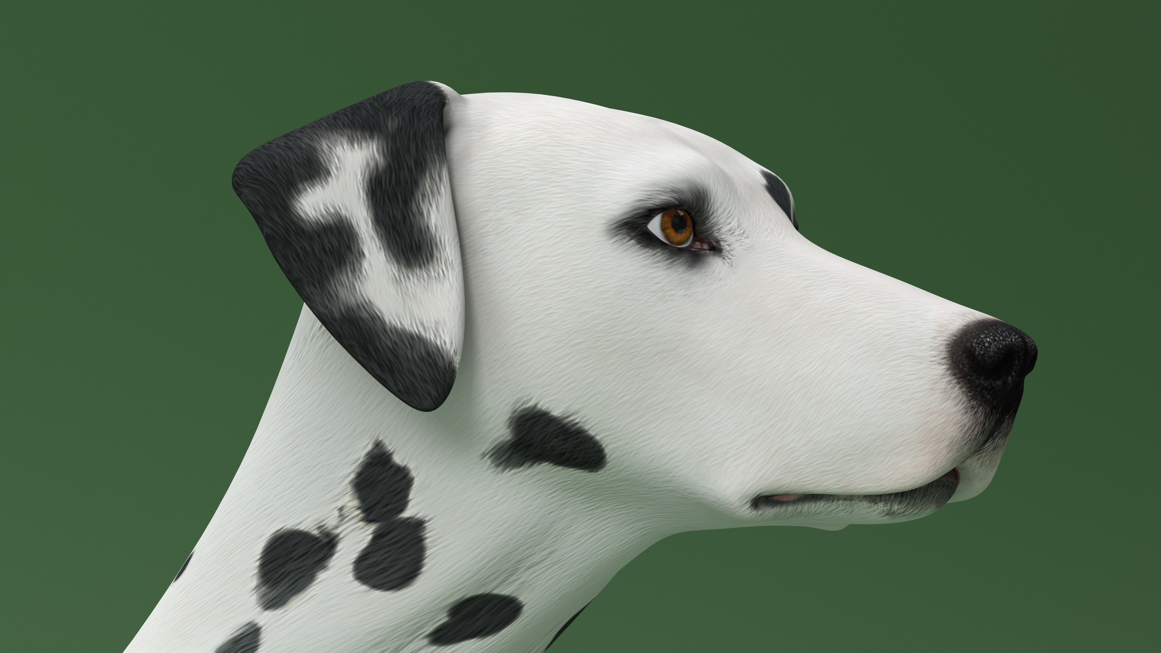 Dalmatian Dog Animated Rigged 3D model