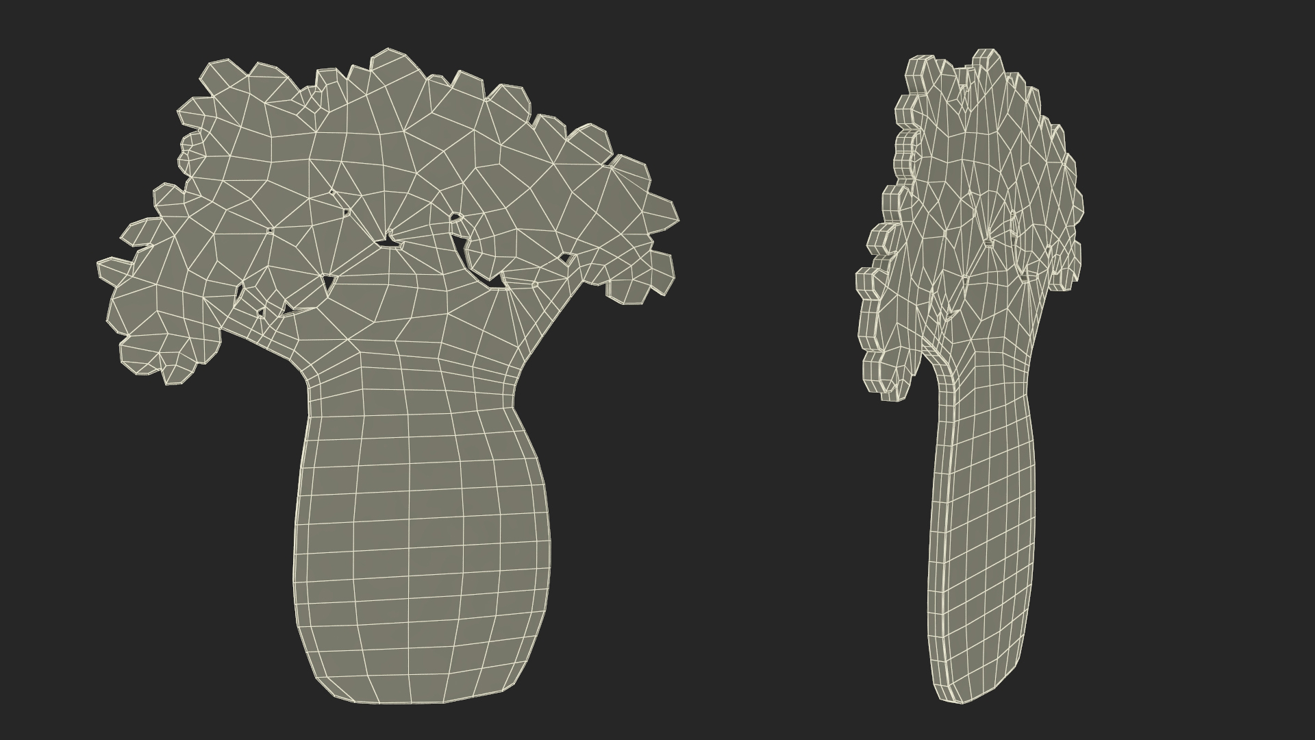 Baobab Silhouette 3D