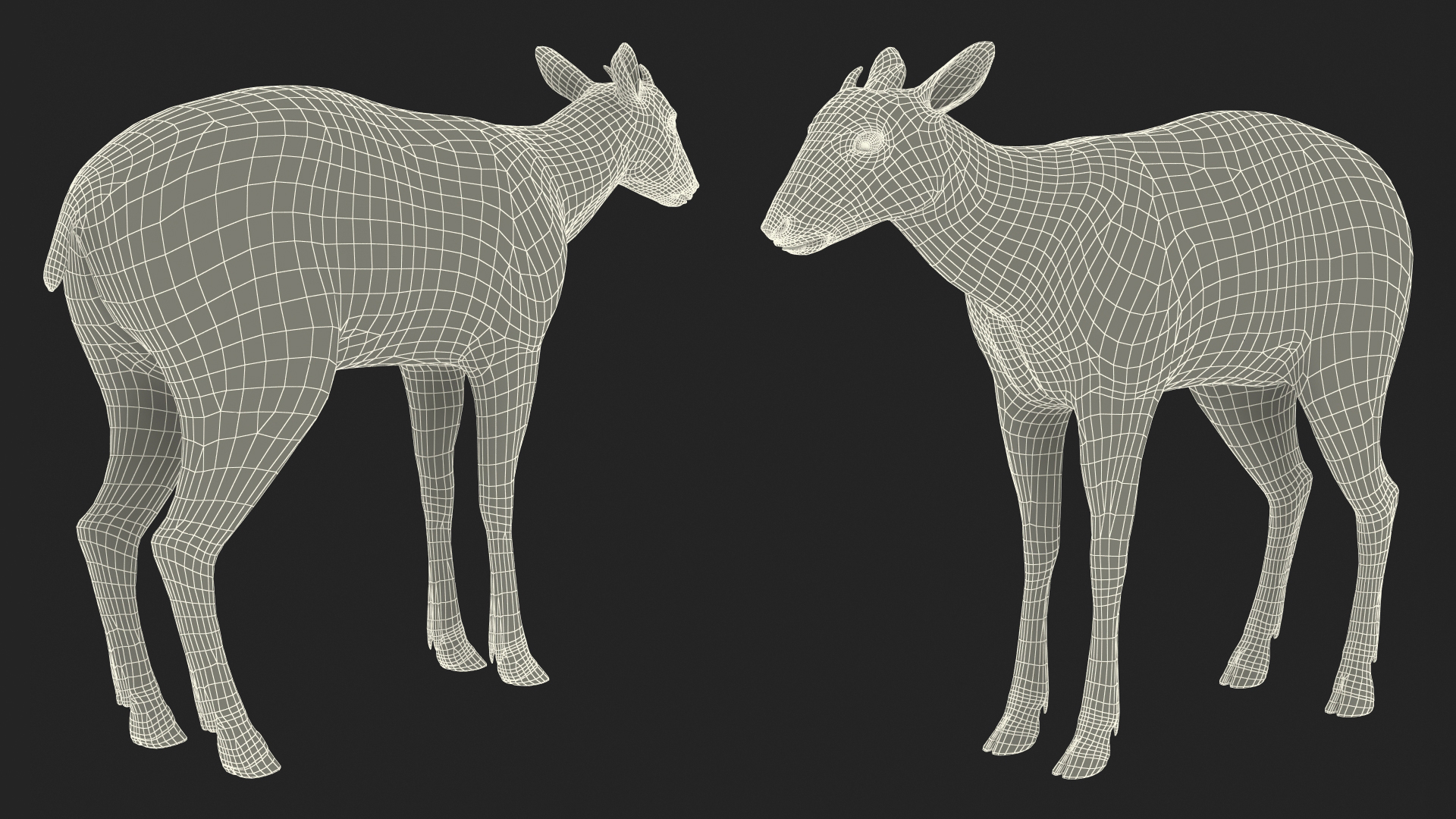 3D Saola Rigged for Maya