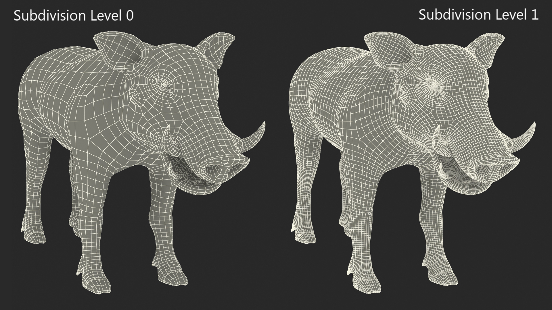 3D model Southern Warthog Base Pose Fur