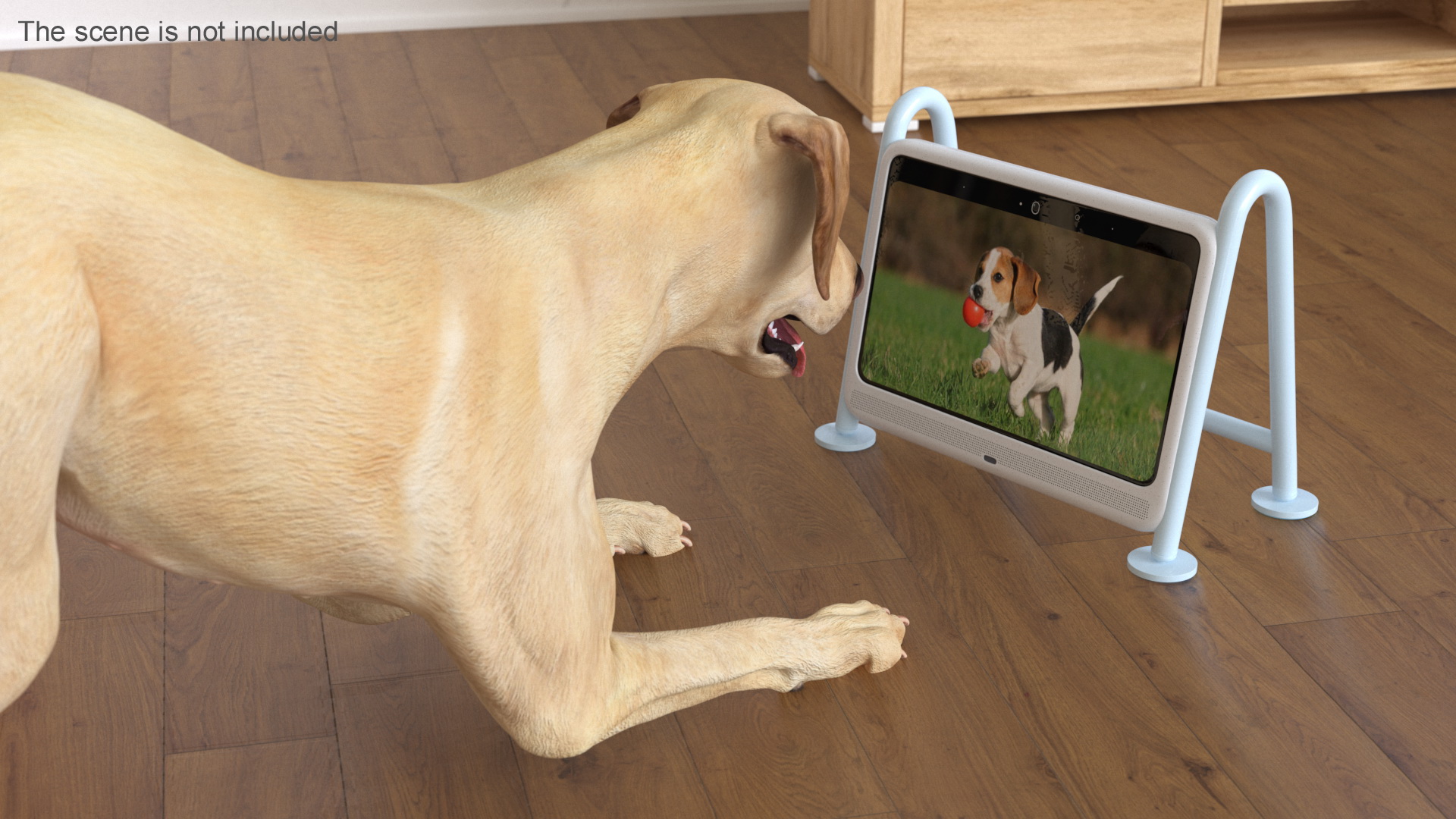 3D Dogsplay TV Video Device with Dog model